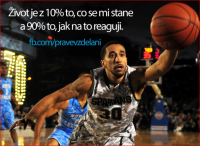 /album/szamelove-rady/zivot-png/